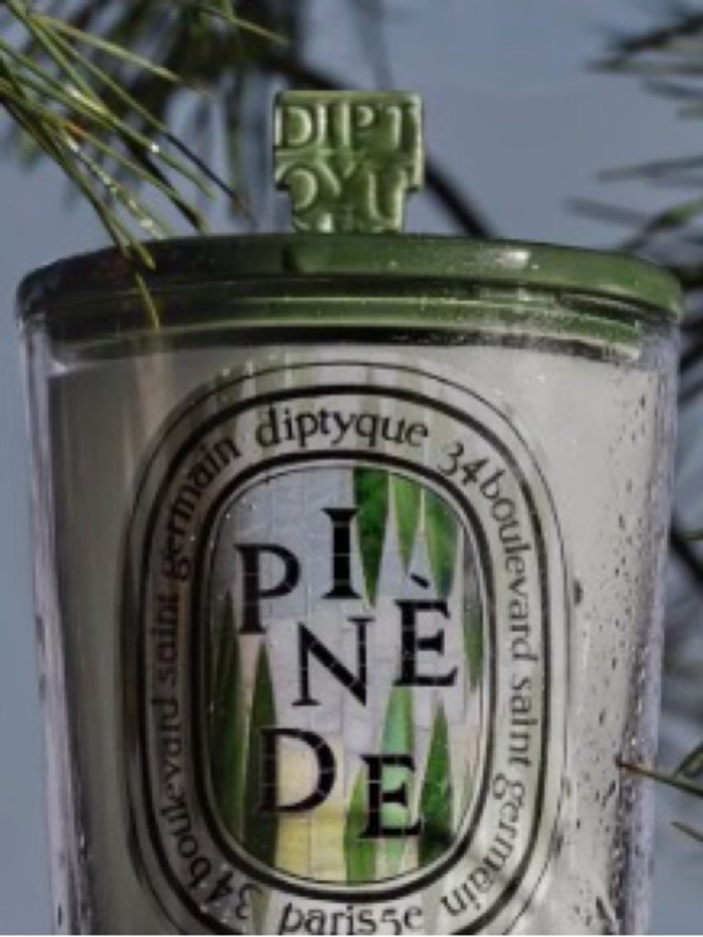Diptyque PINE GROVE GREEN PYRAMID LID DIPTYQUE CANDLE LID